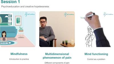 <mark class="highlighted">Usability Study</mark> of the iACTwithPain Platform: An Online Acceptance and Commitment Therapy and Compassion-Based Intervention for Chronic Pain